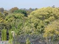 DSC 0093