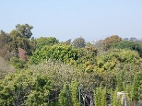 DSC 0094