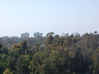 DSC 0096