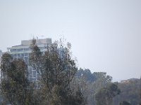 DSC 0097