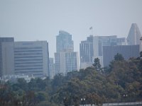 DSC 0099
