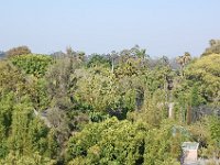 DSC 0137