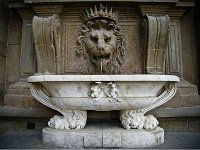 The Lion Fountain in Palazzo Pitti, Florence, Italy