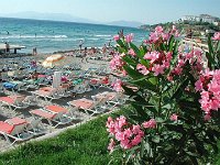 Ladies-beach-kusadasi2