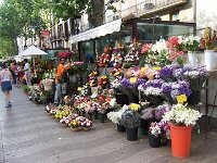 Las Ramblas Market