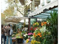 Les Ramblas flower cart