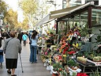 market