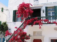Mykonos Bougainvilla
