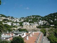Capri Kartuzja