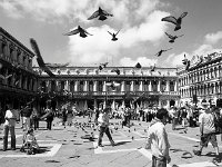 1Piazza san marco
