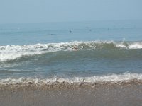 DSC 0040