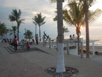 DSC 0082