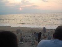 DSC 0097