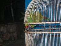 DSC 0136