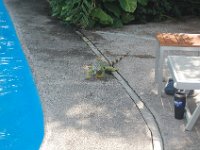 DSC 0176