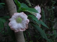 DSC 0463