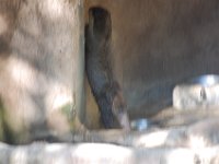 DSC 0633