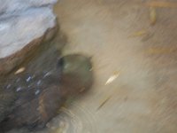 DSC 0641