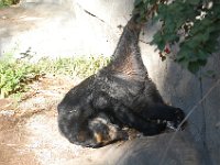 DSC 0650