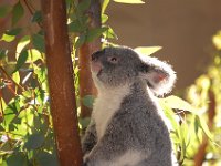 DSC 0656