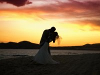 IMG 0443effe