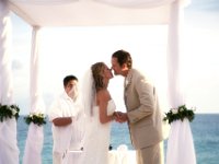 IMG 0248effe
