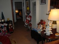 DSC 0008