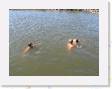 IMG_0354 * 2272 x 1704 * (1.09MB)