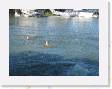 IMG_0373 * 2272 x 1704 * (1.36MB)