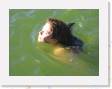 IMG_0376 * 2272 x 1704 * (696KB)
