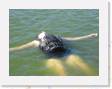 IMG_0377 * 2272 x 1704 * (700KB)