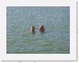 IMG_0380 * 2272 x 1704 * (1.12MB)