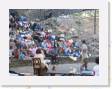 IMG_0426 * 2272 x 1704 * (1.15MB)