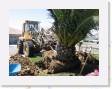 IMG_0177 * 2272 x 1704 * (1.53MB)