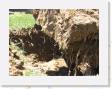 IMG_0182 * 2272 x 1704 * (1.3MB)