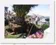 IMG_0184 * 2272 x 1704 * (1.57MB)