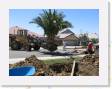 IMG_0188 * 2272 x 1704 * (1.46MB)