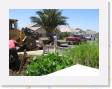 IMG_0195 * 2272 x 1704 * (1.46MB)
